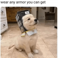 lvl-1-and-have-wear-any-armor-can-get-alegonews-ent.png